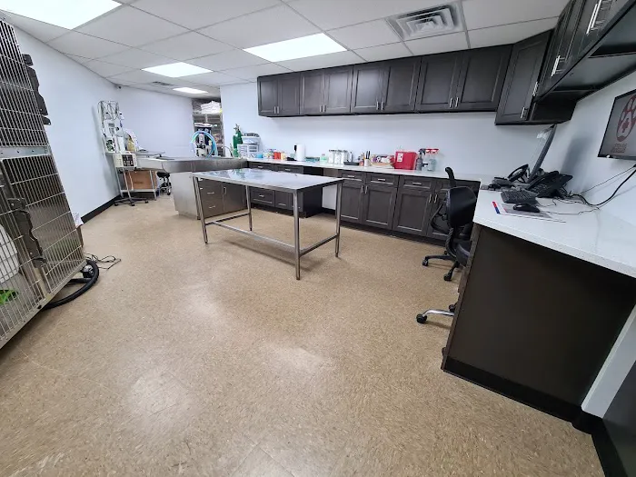 Clifton Ave Animal Hospital Picture 6