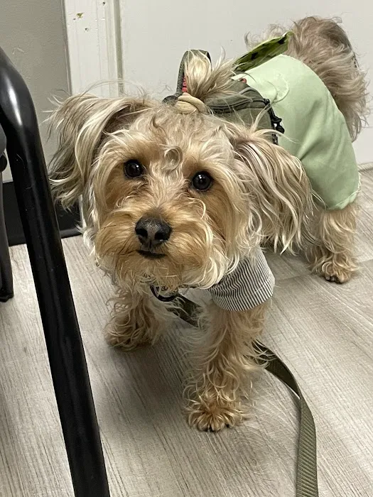 Clifton Ave Animal Hospital Picture 4