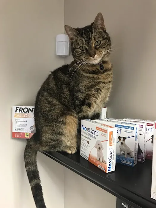 Clifton Ave Animal Hospital Picture 3