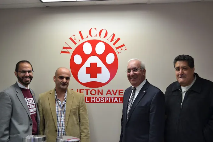Clifton Ave Animal Hospital Picture 5
