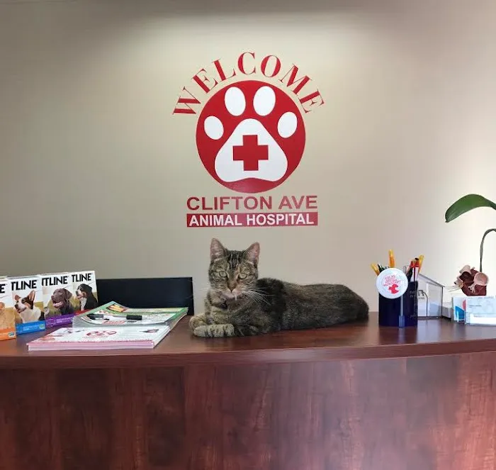 Clifton Ave Animal Hospital Picture 10