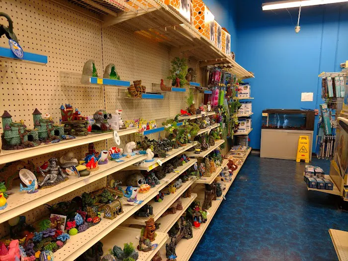 Pet Supermarket Picture 1
