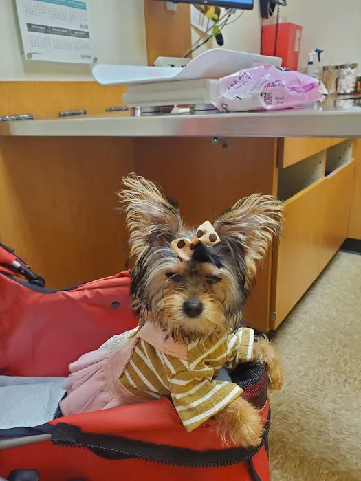 Pet Supermarket Picture 2