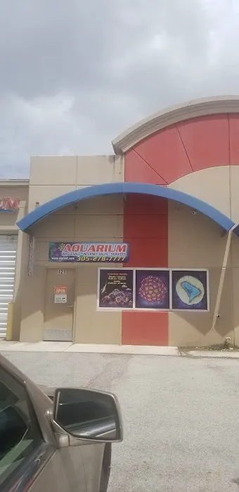 VIP Reef Aquarium Picture 1