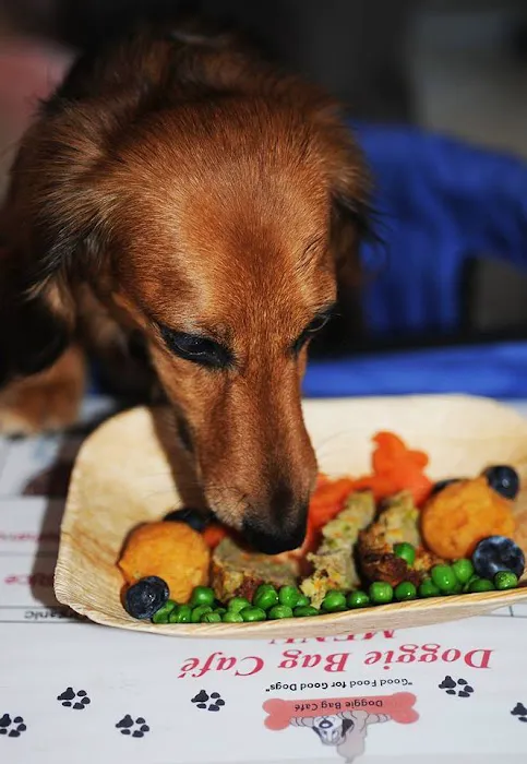 Doggie Bag Cafe & Pet Boutique Picture 3