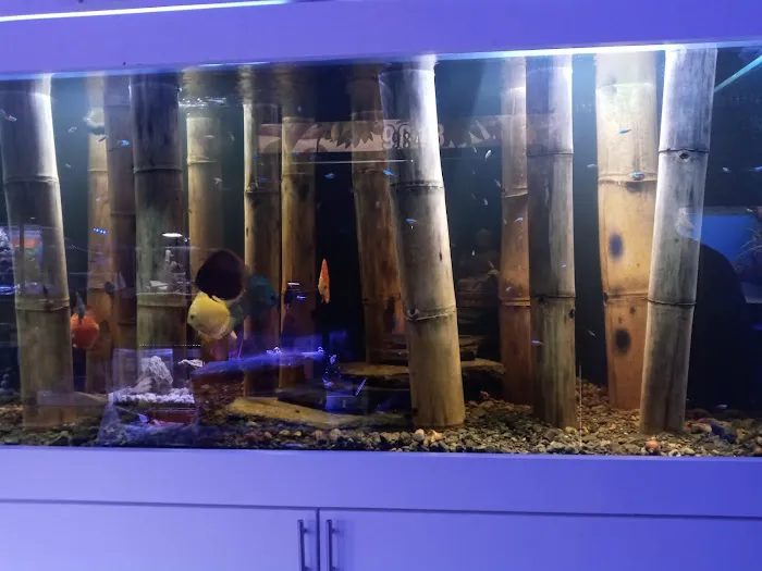 Aquarium Art Picture 4