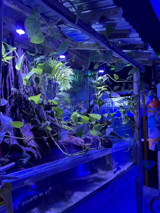 Aquarium Art Picture 8