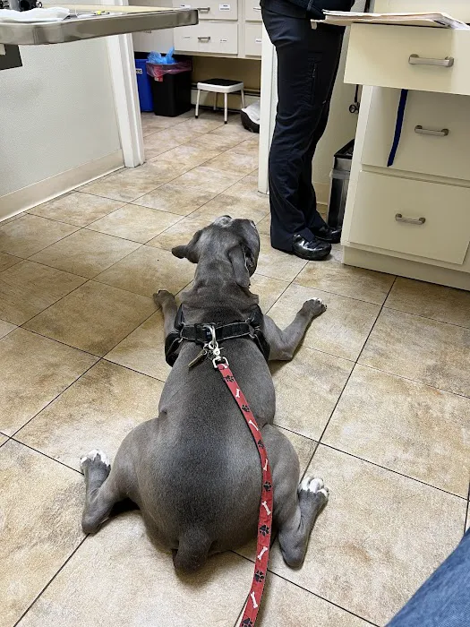 Parkview Animal Hospital Picture 9