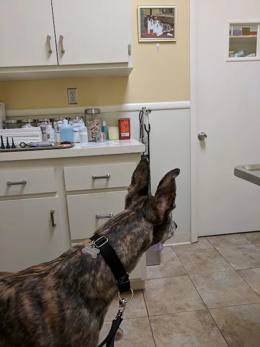 Parkview Animal Hospital Picture 10