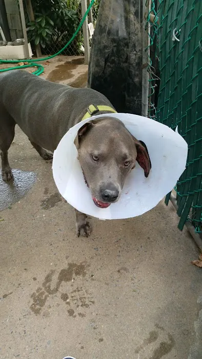 Parkview Animal Hospital Picture 8