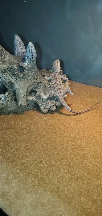 Petco Picture 10