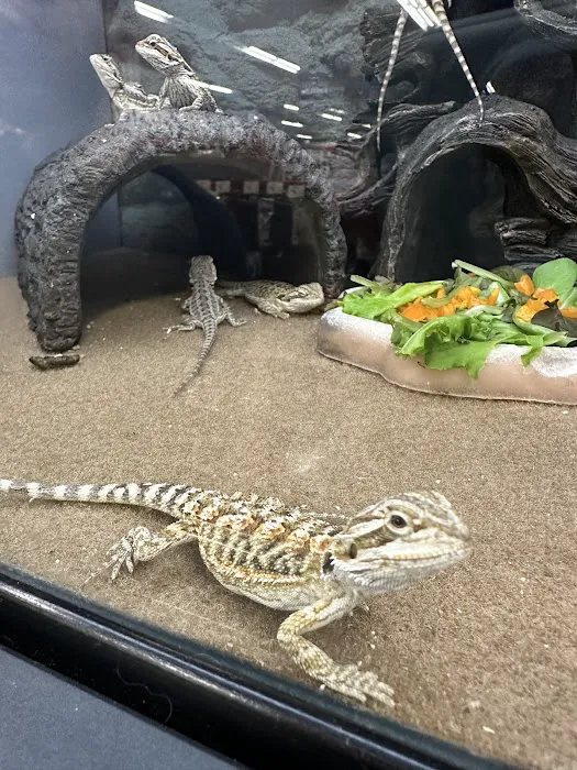 Petco Picture 5