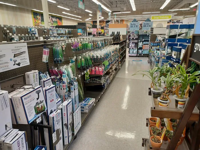 Petco Picture 4