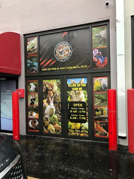 Yellow Koi Petshop Picture 7