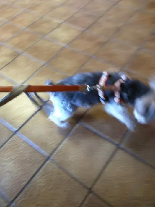 Animal Hospital Of Rutherford Picture 9