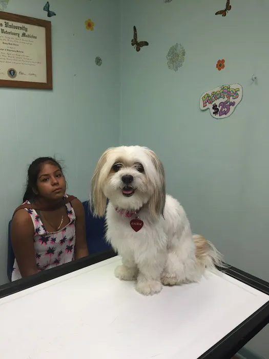 Animal Hospital Of Rutherford Picture 3