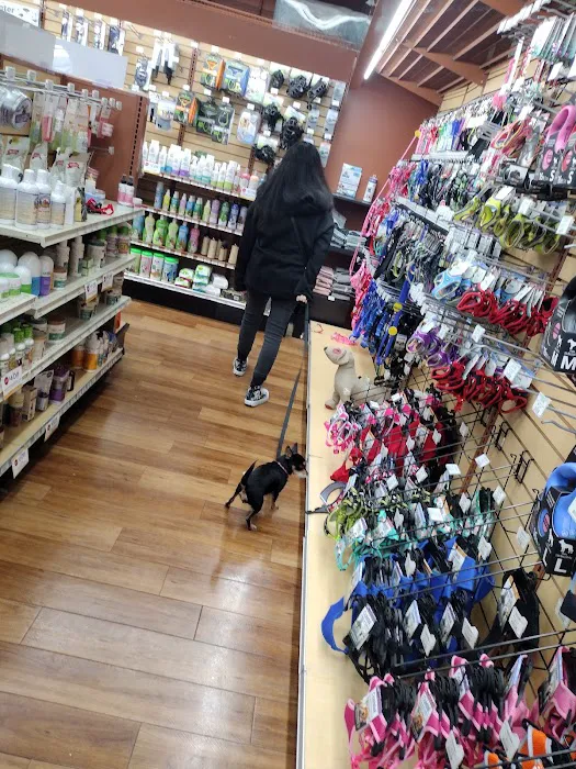 Pet Supermarket Picture 10