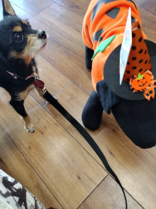 Pet Supermarket Picture 6
