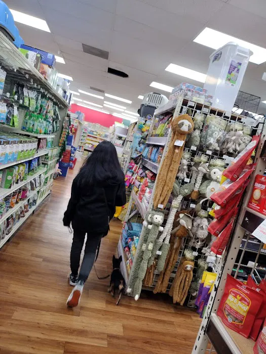 Pet Supermarket Picture 7