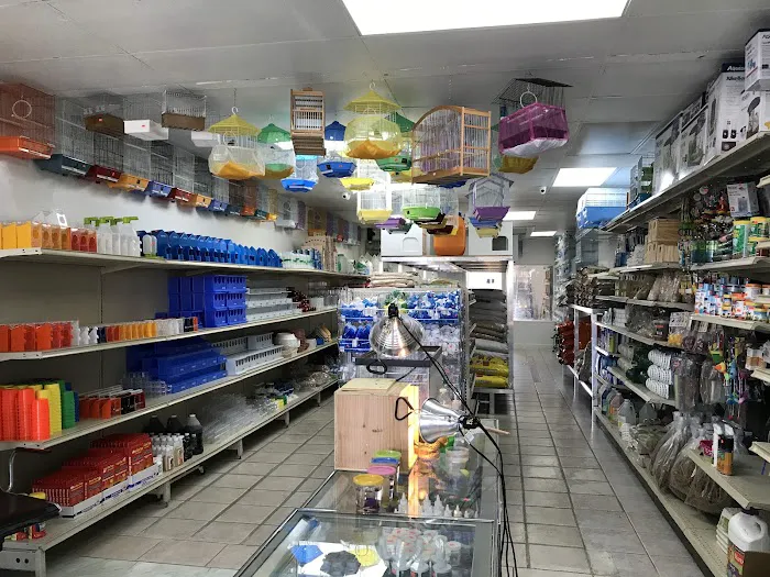 Palomero Chang Pet Shop Picture 1