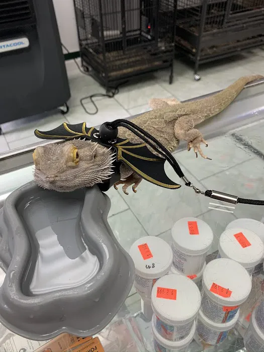 Palomero Chang Pet Shop Picture 7