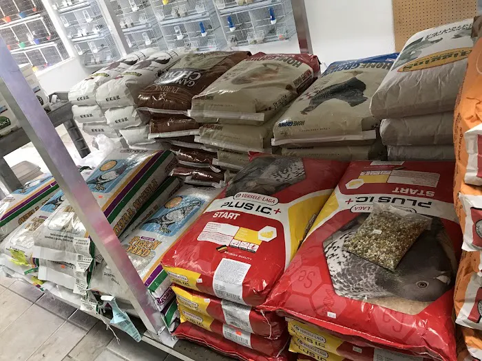 Palomero Chang Pet Shop Picture 10