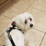 VCA Rutherford Animal Hospital