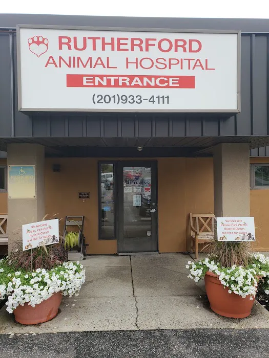 VCA Rutherford Animal Hospital Picture 7