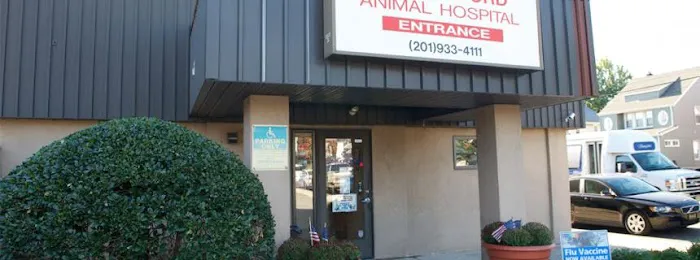 VCA Rutherford Animal Hospital Picture 8