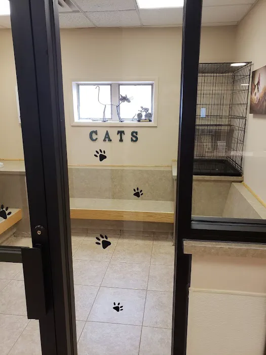 VCA Rutherford Animal Hospital Picture 5
