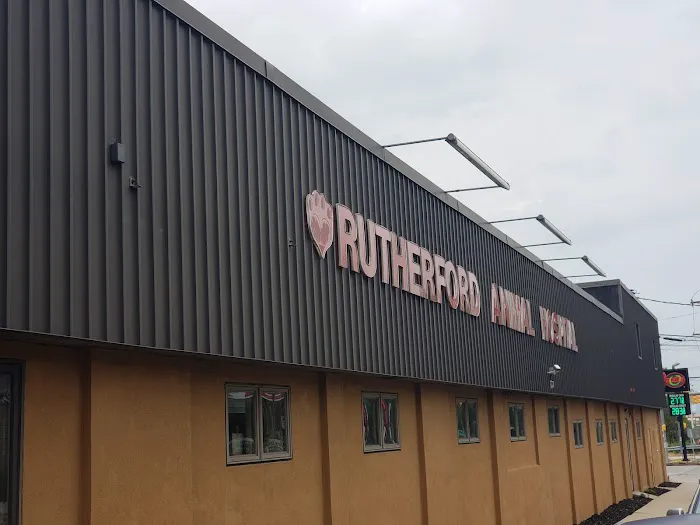 VCA Rutherford Animal Hospital Picture 4