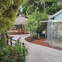 The Aviary Bird Shop ico