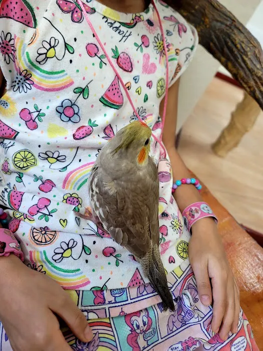 The Aviary Bird Shop Picture 4