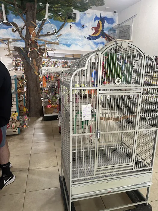 The Aviary Bird Shop Picture 9