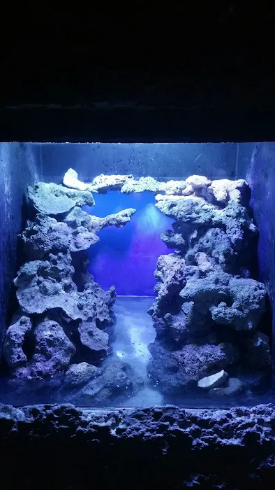 Aquarium Solutions - Maintenance & Services Picture 7