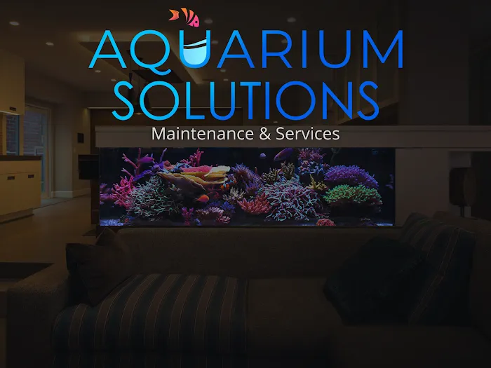 Aquarium Solutions - Maintenance & Services Picture 8