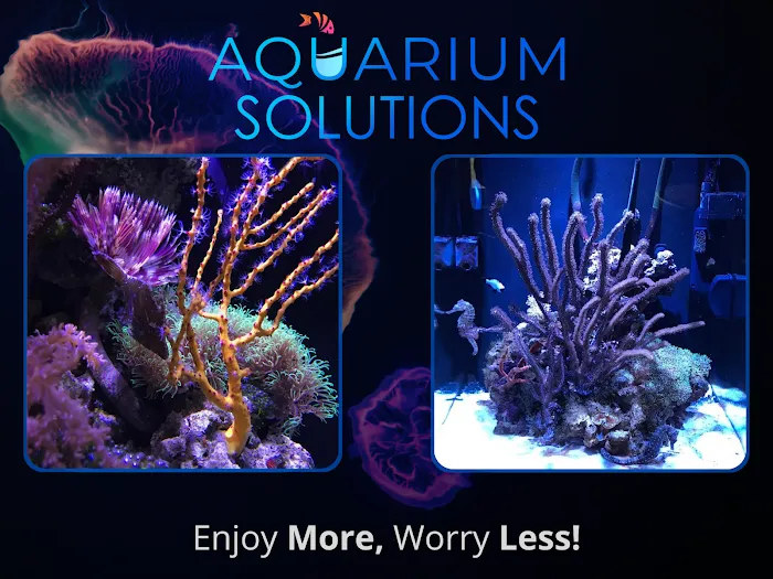 Aquarium Solutions - Maintenance & Services Picture 10