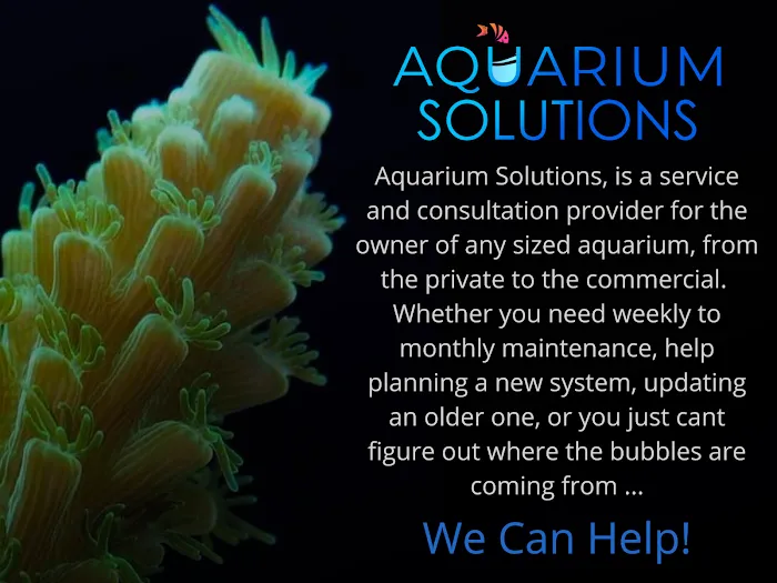 Aquarium Solutions - Maintenance & Services Picture 9
