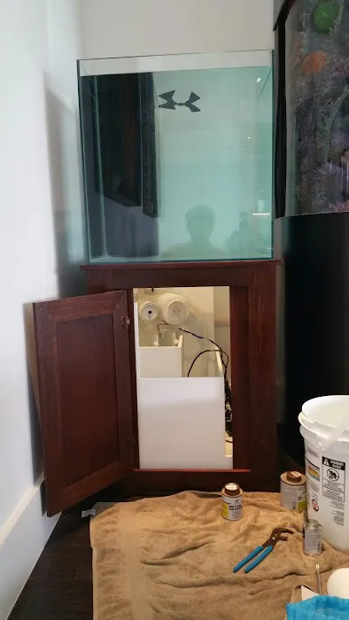 Aquarium Solutions - Maintenance & Services Picture 3