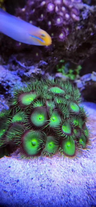 Tank Life Inc. Picture 5