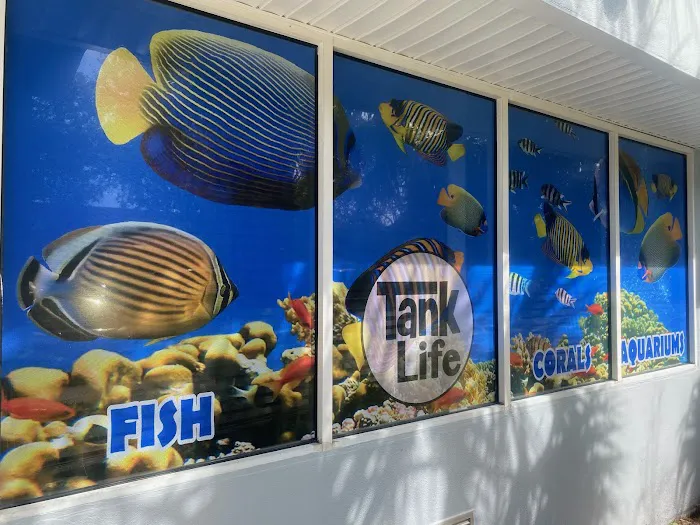 Tank Life Inc. Picture 6