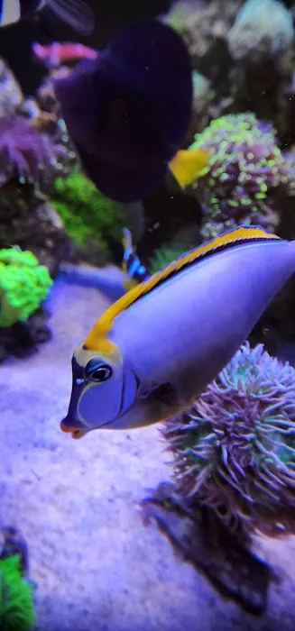 Tank Life Inc. Picture 2