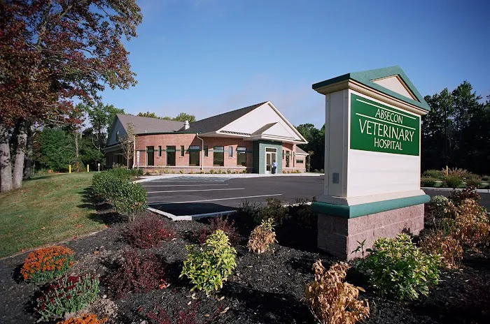 Absecon Veterinary Hospital Picture 5
