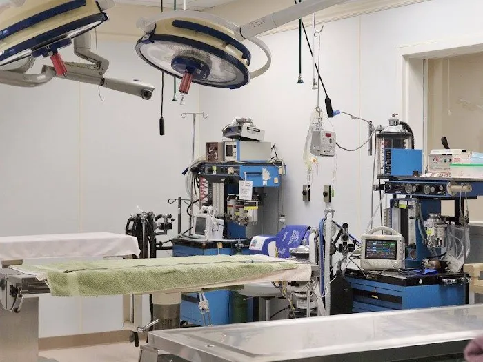 Absecon Veterinary Hospital Picture 6