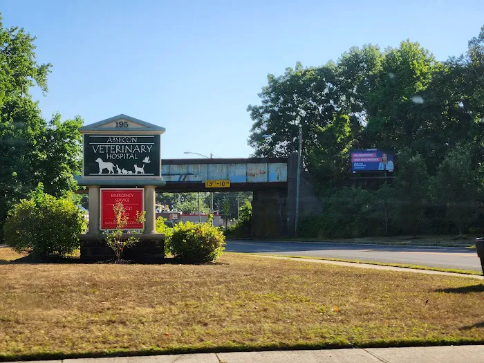 Absecon Veterinary Hospital Picture 7
