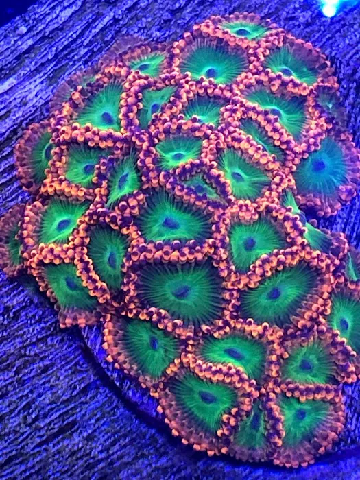 Marine Net Picture 4