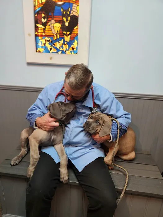 Cologne Animal Hospital Picture 2