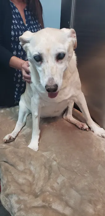 Cologne Animal Hospital Picture 10