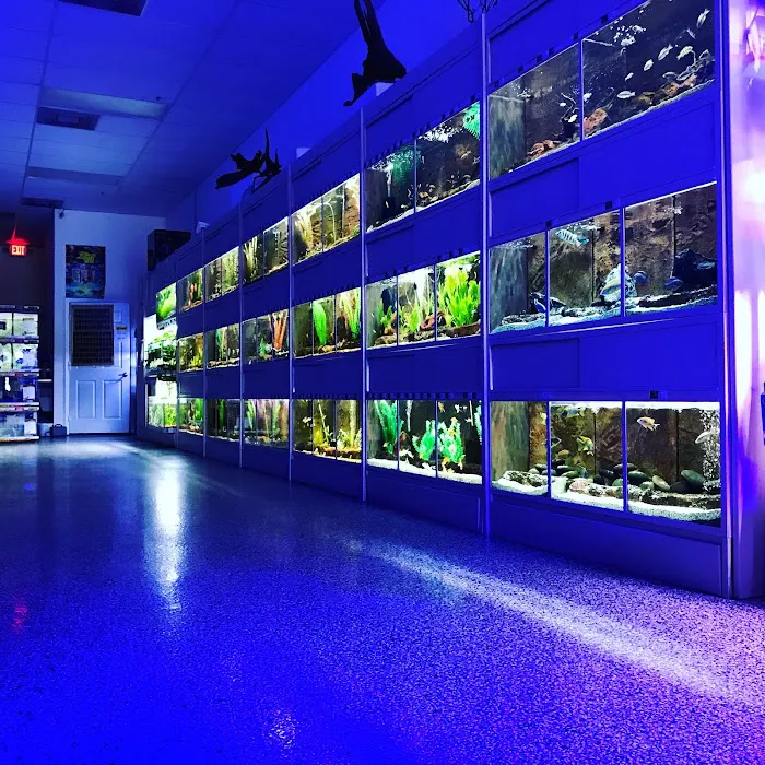 Aquarium Show Picture 1