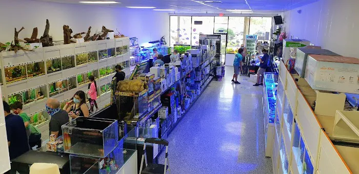 Aquarium Show Picture 4